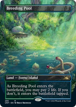 Breeding Pool Borderless (UNF, Near Mint, Foil)
