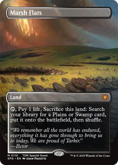 Marsh Flats (Borderless) (SPG, Near Mint,)
